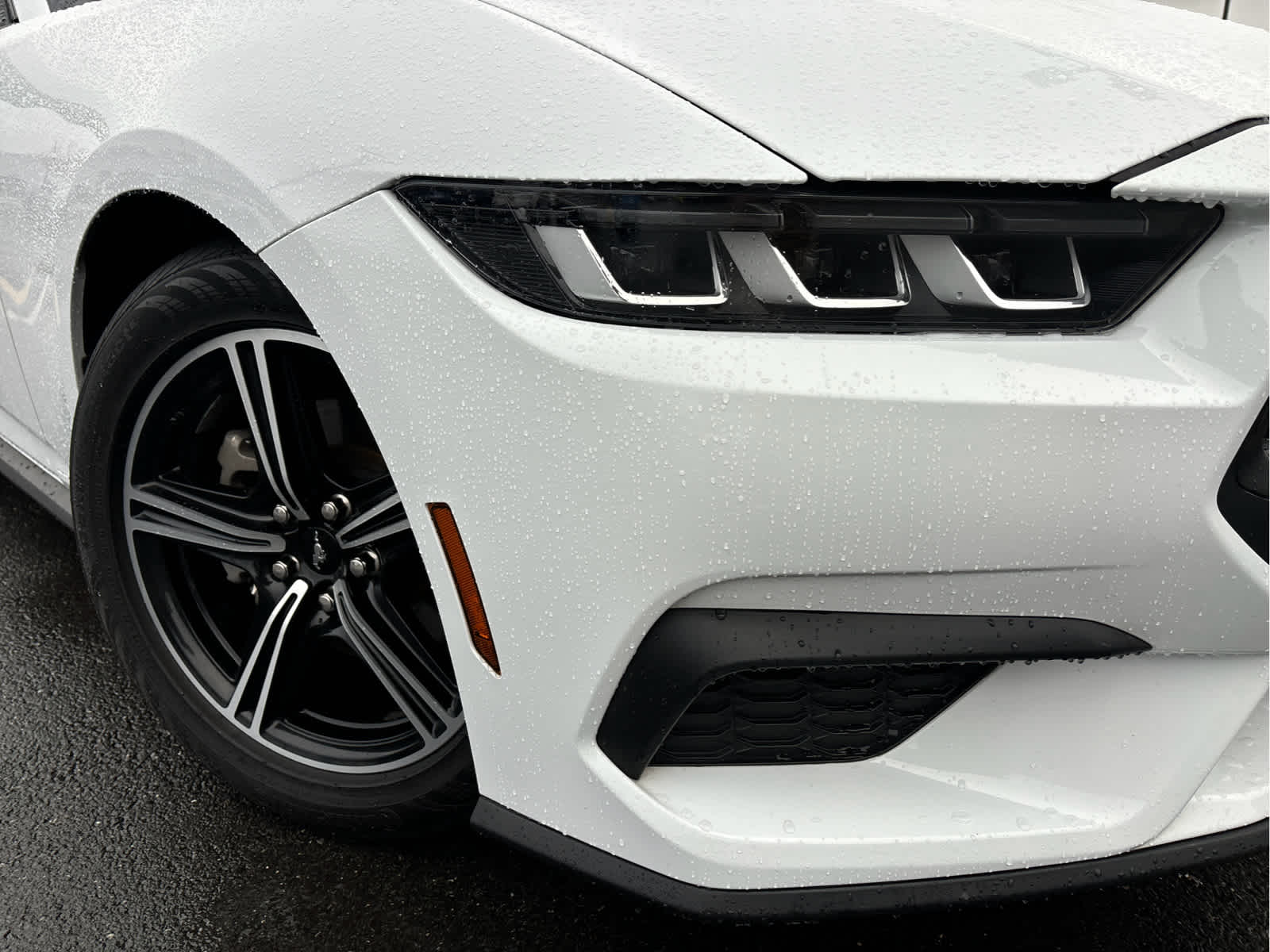 2024 Ford Mustang EcoBoost