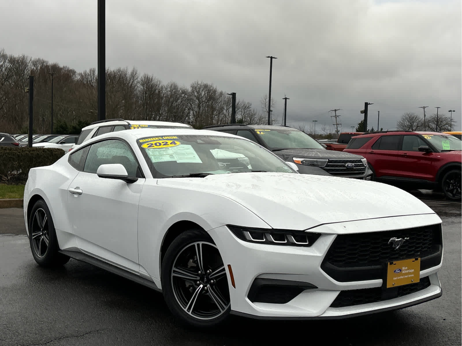 2024 Ford Mustang EcoBoost