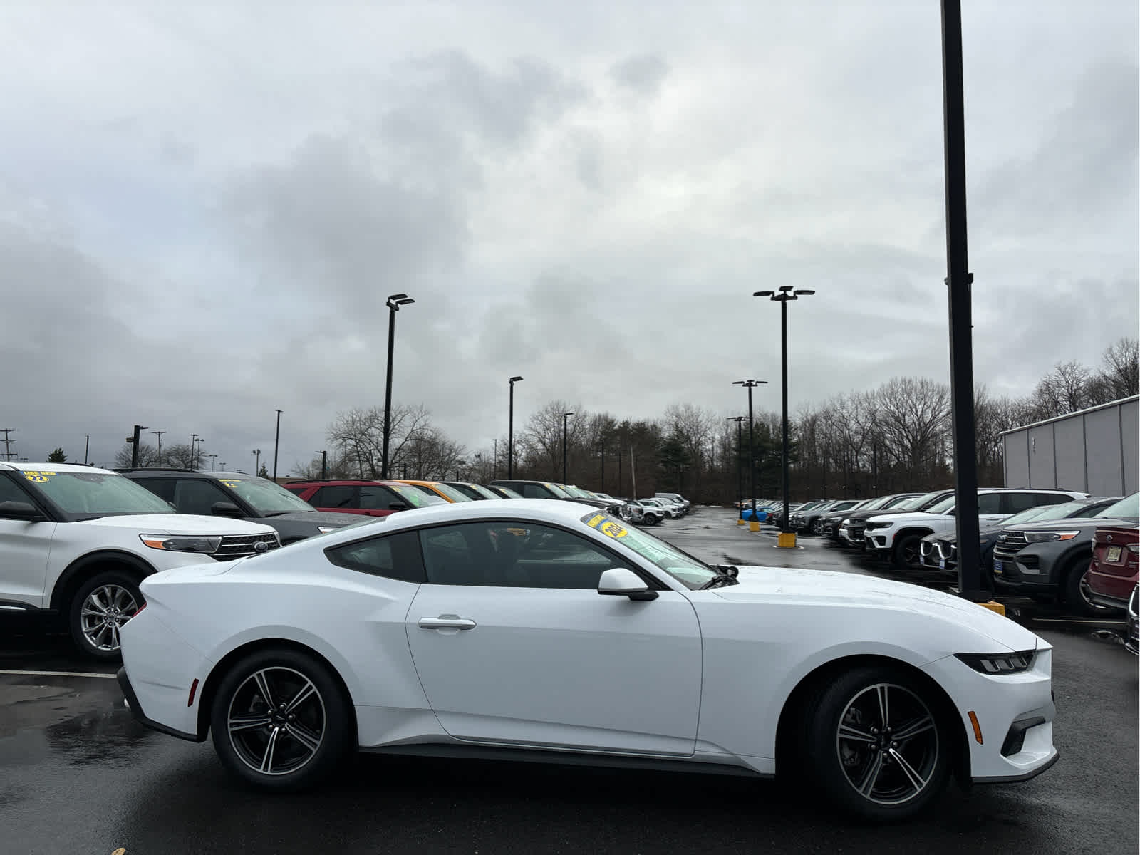 2024 Ford Mustang EcoBoost