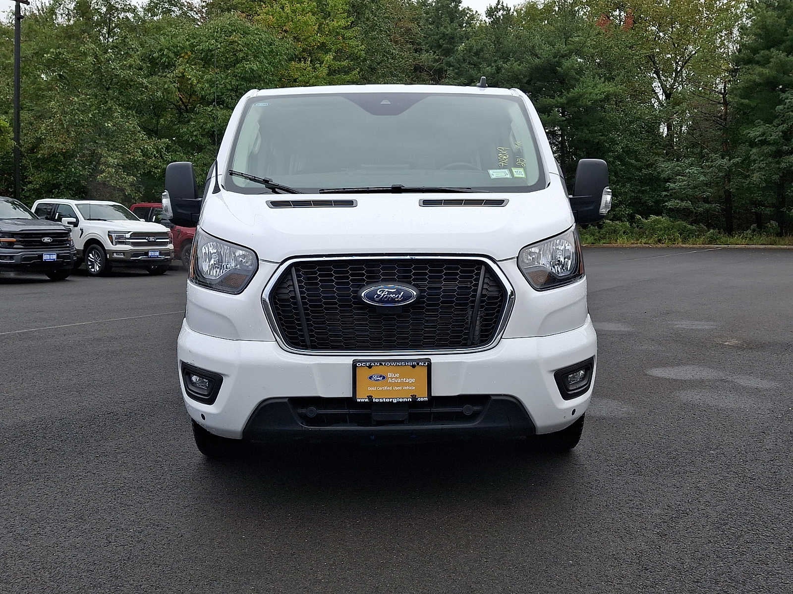 2025 Ford Transit Passenger Wagon XLT