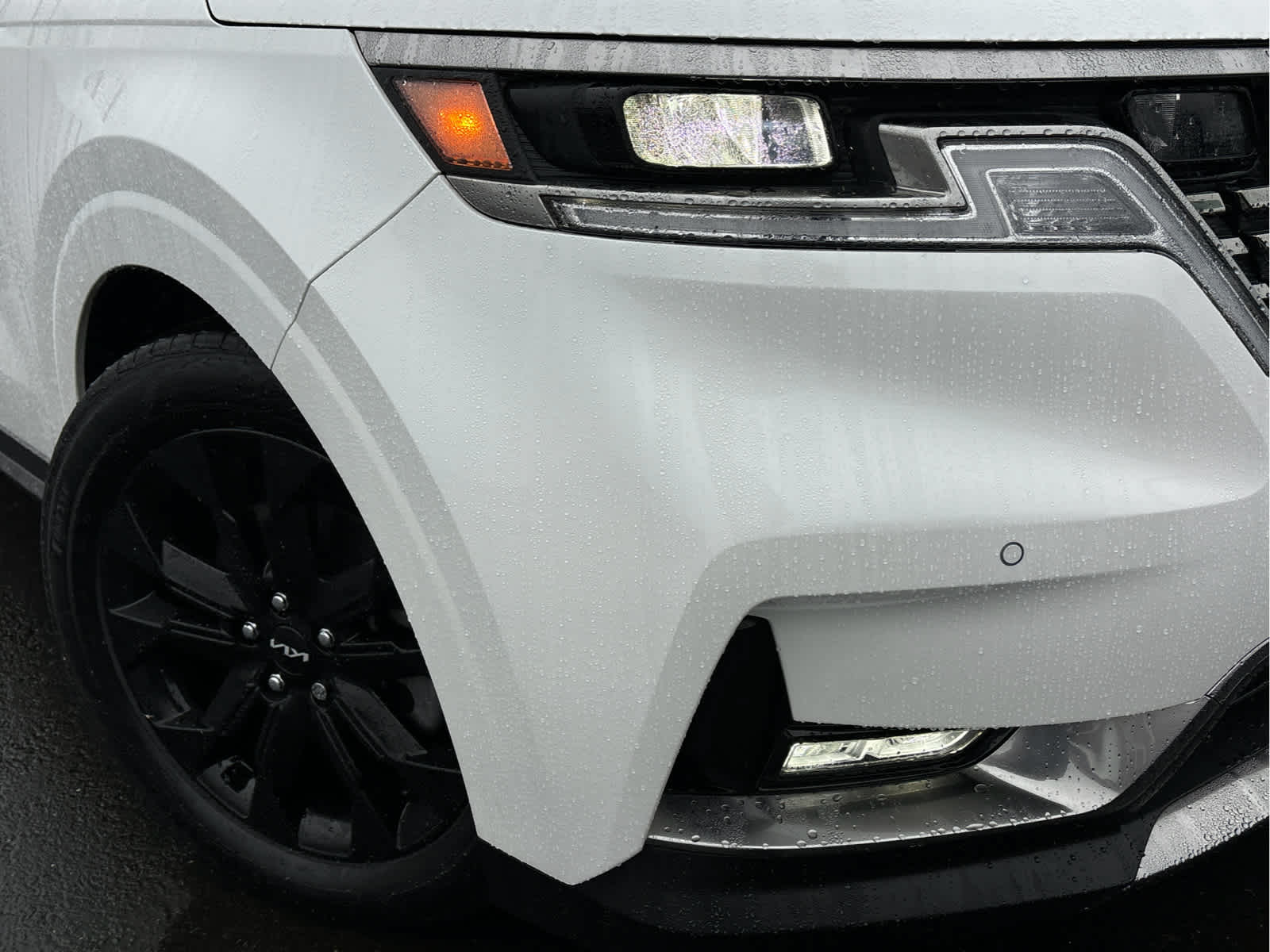 2024 Kia Carnival SX