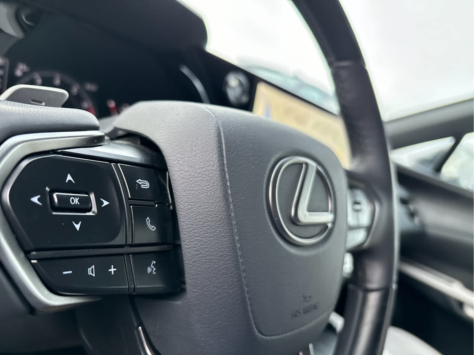 2024 Lexus RX Premium