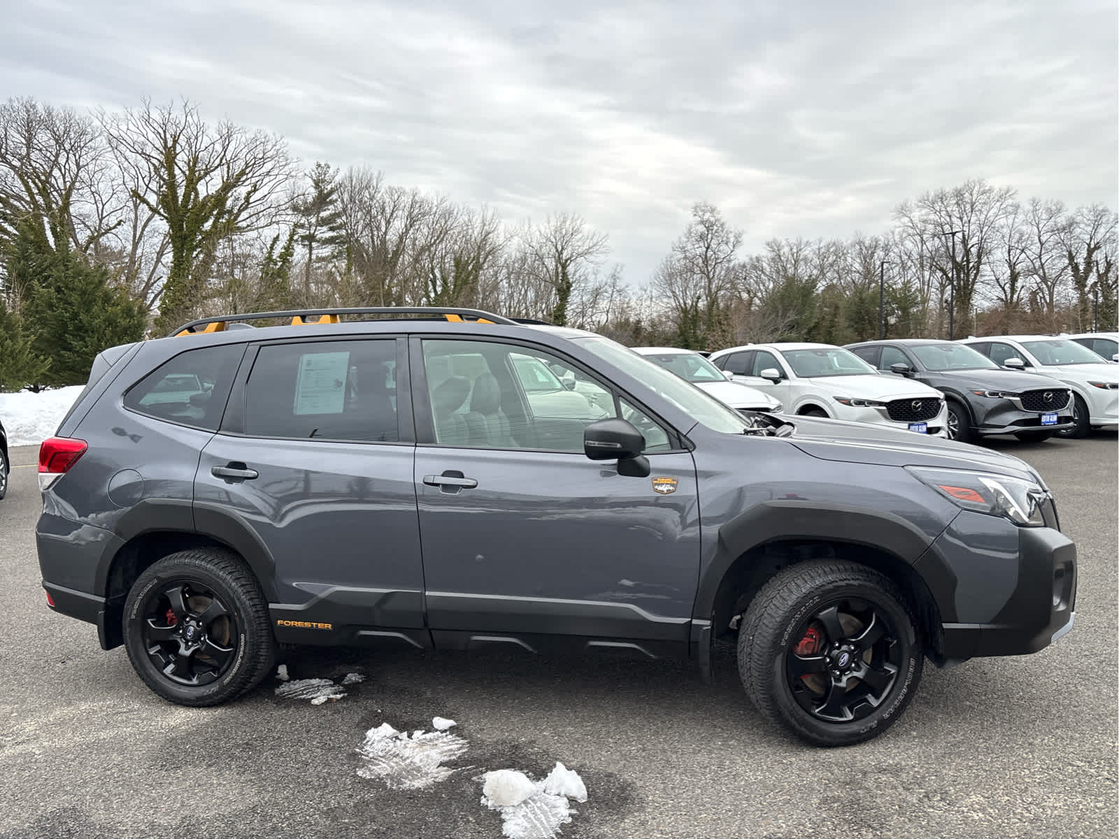 2023 Subaru Forester Wilderness