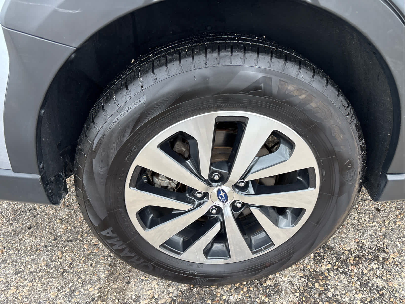 2024 Subaru Outback Premium