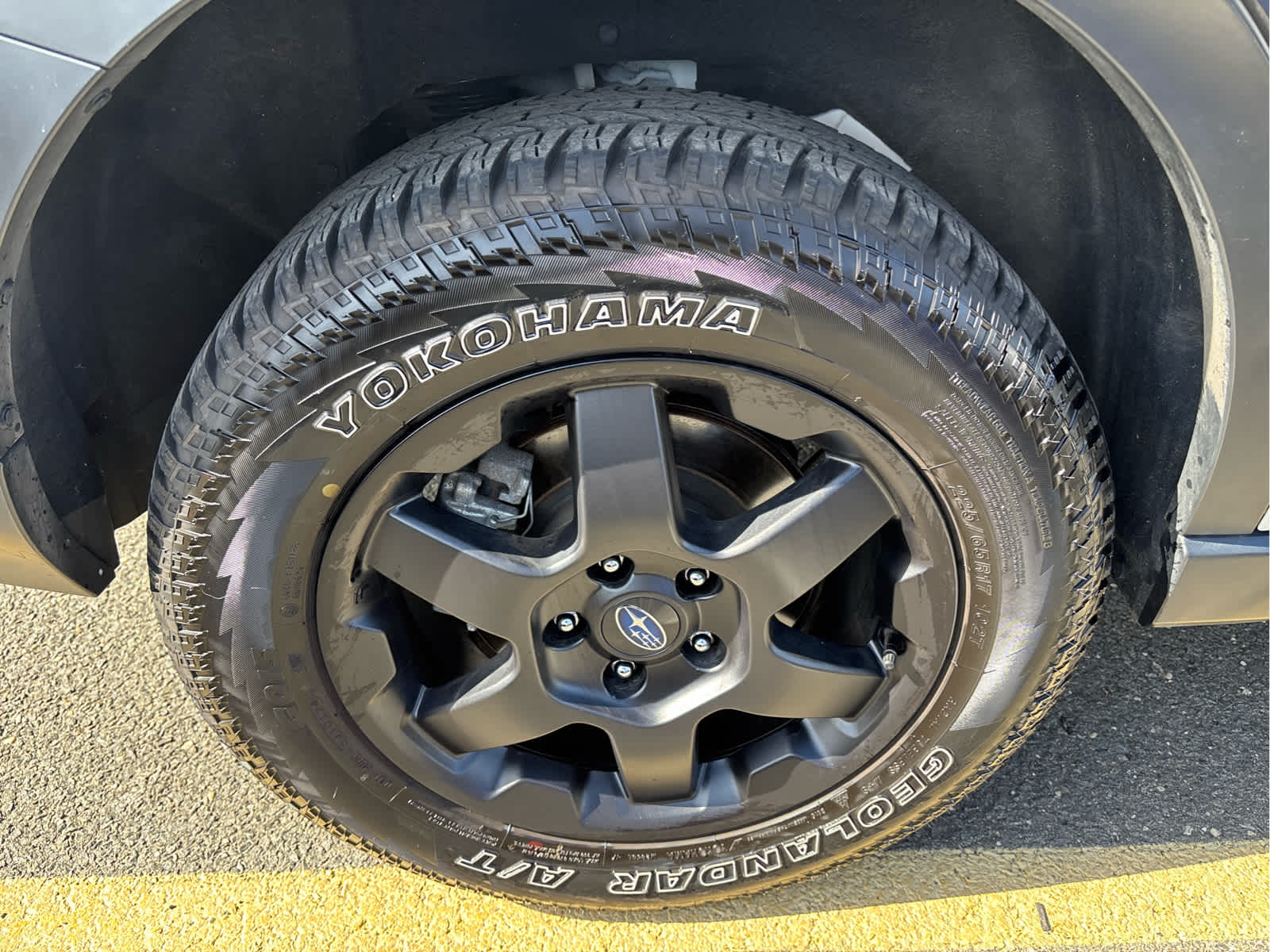 2025 Subaru Outback Wilderness