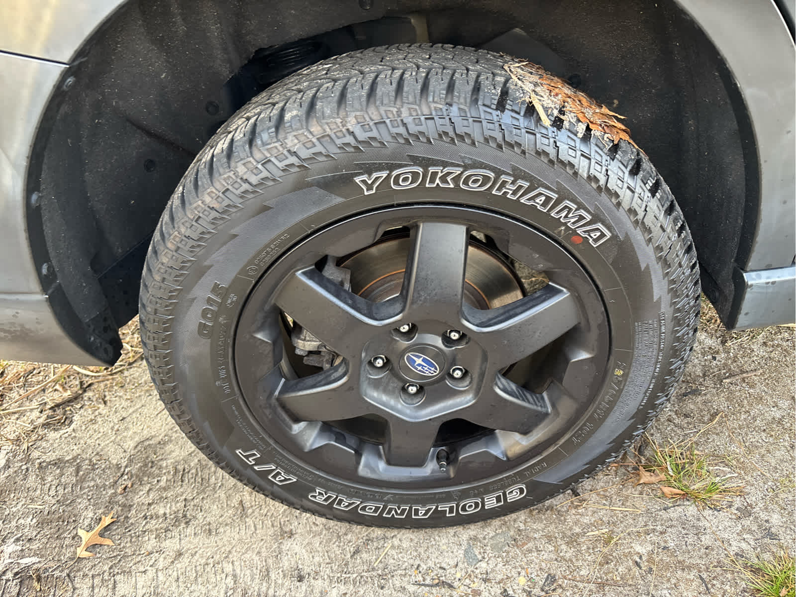 2023 Subaru Outback Wilderness