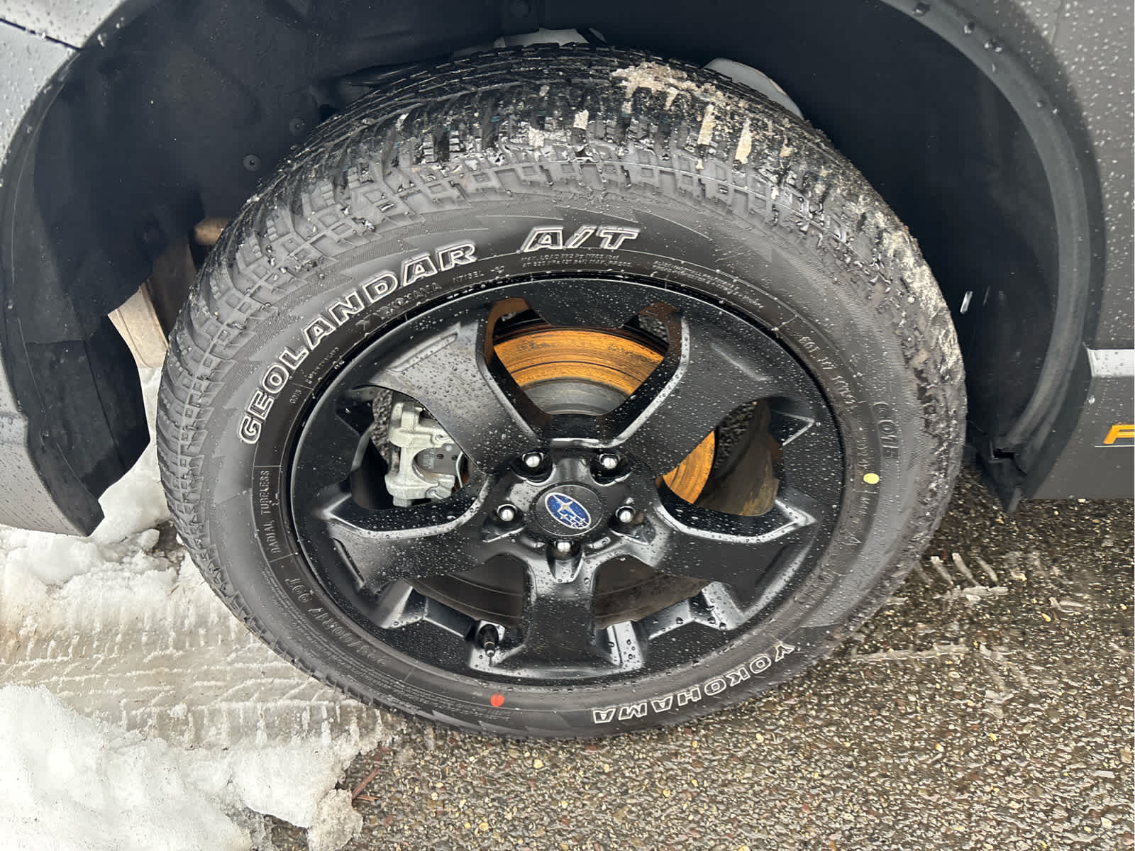 2025 Subaru Forester Wilderness