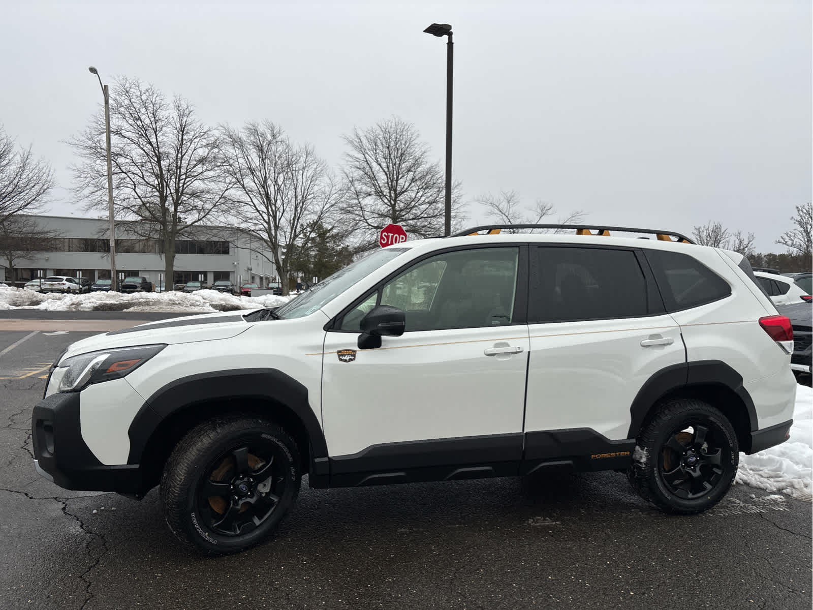 2025 Subaru Forester Wilderness