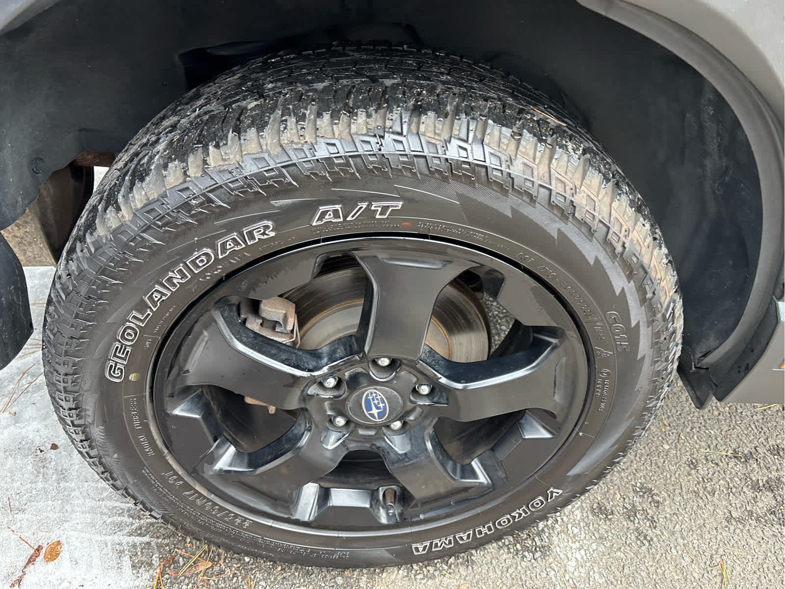 2024 Subaru Forester Wilderness