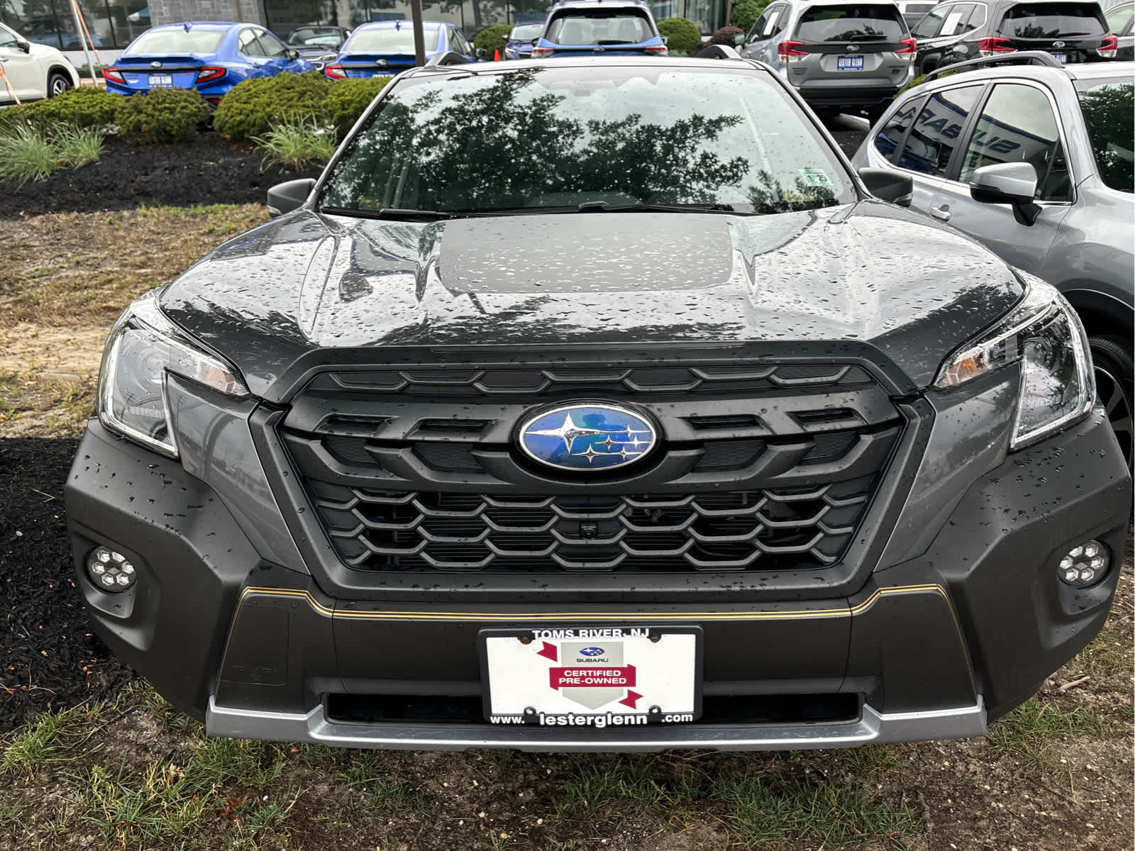 2023 Subaru Forester Wilderness