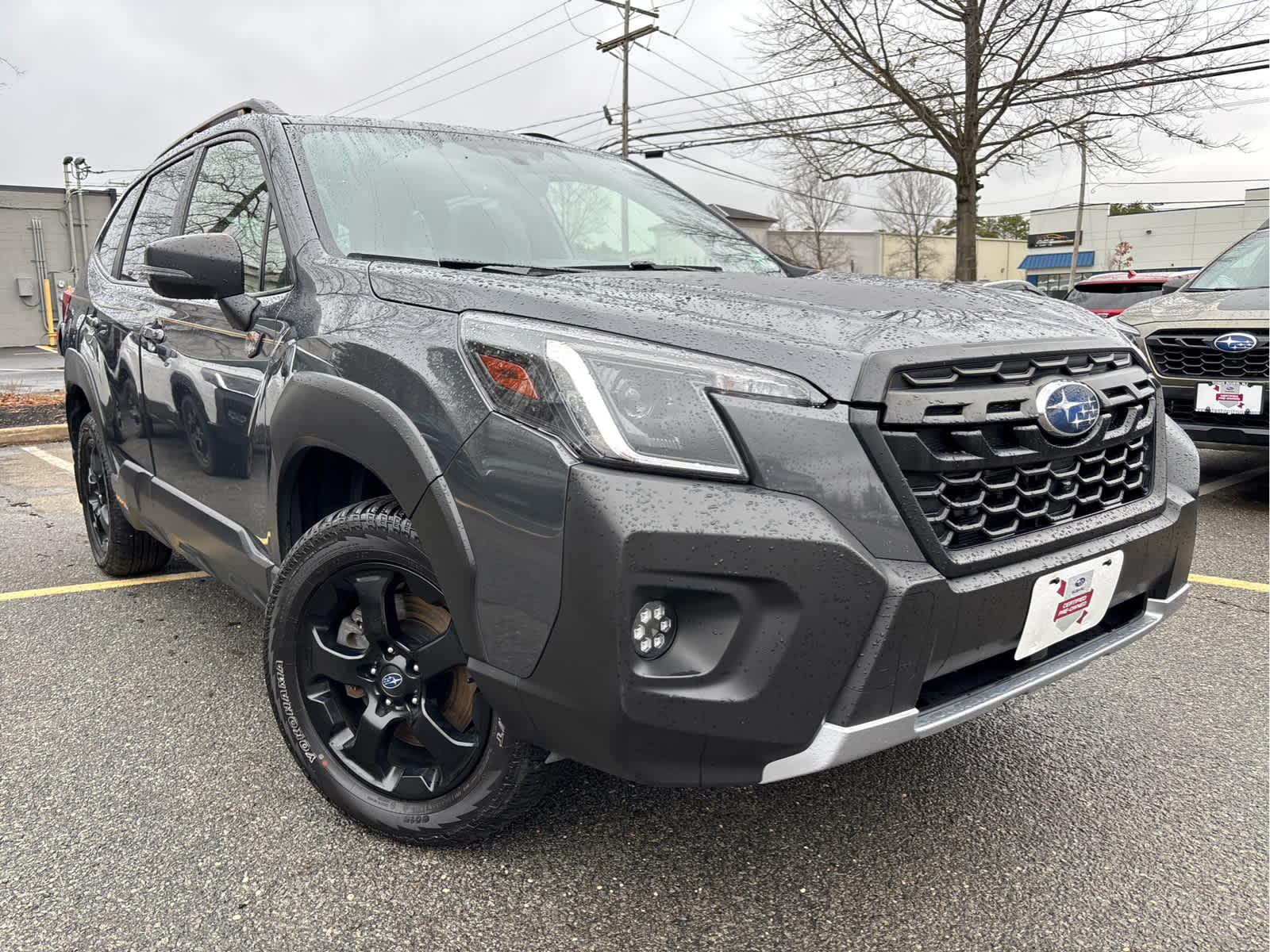 2023 Subaru Forester Wilderness