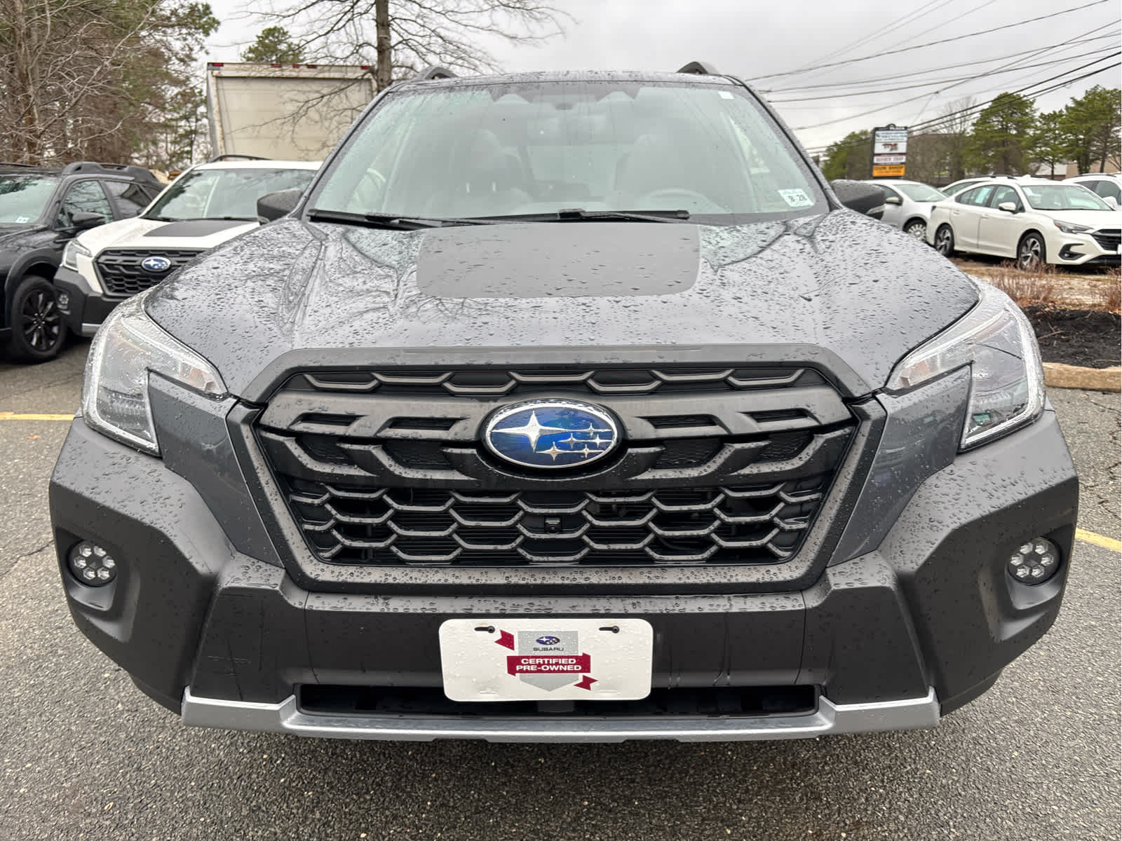 2023 Subaru Forester Wilderness