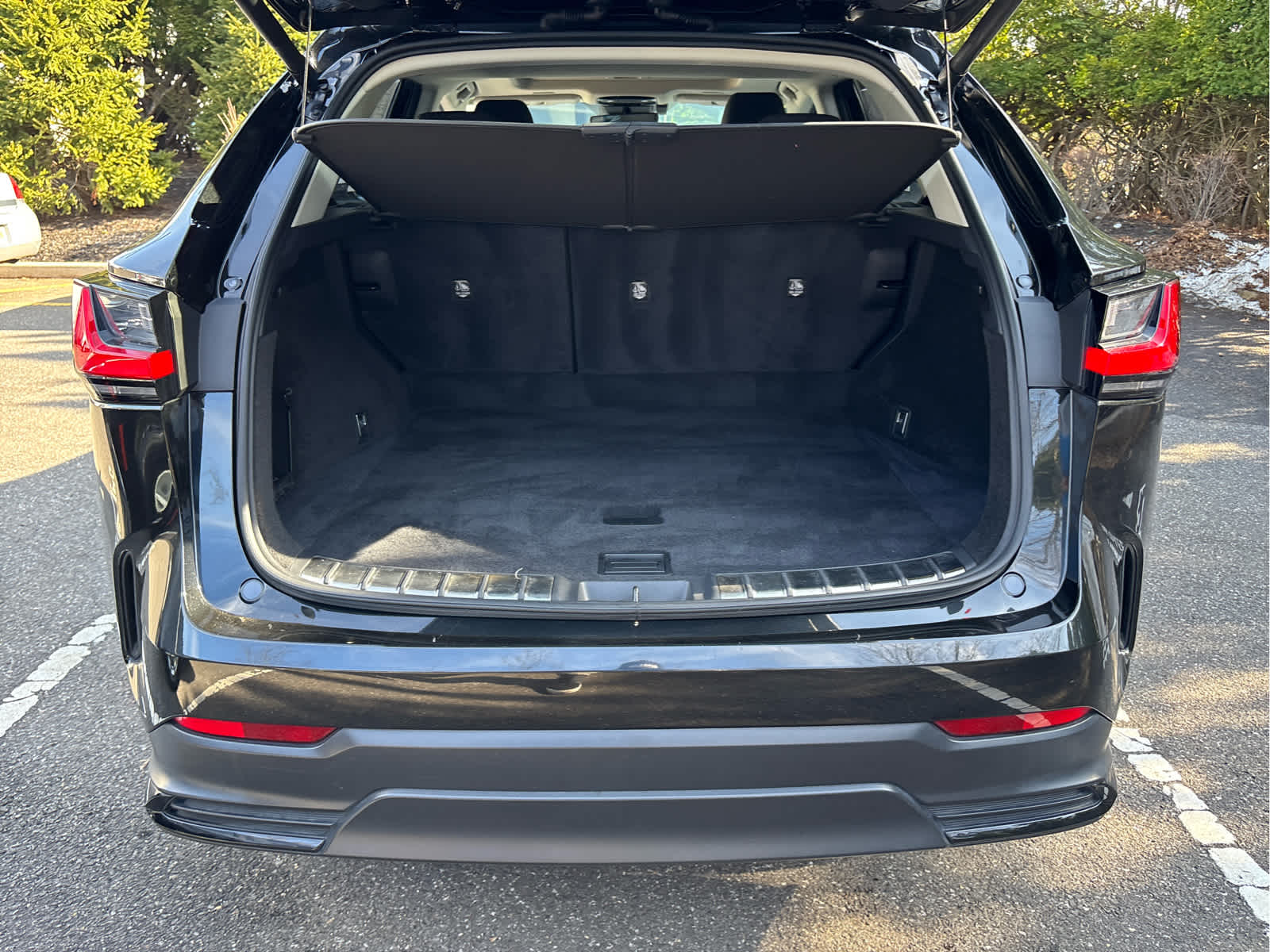 2024 Lexus NX NX 250