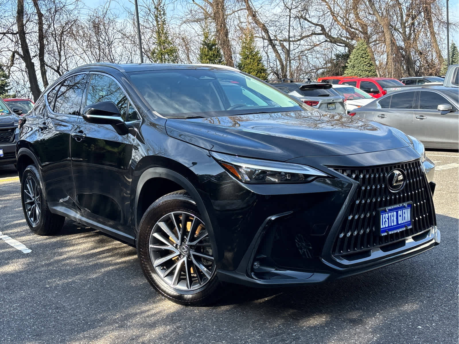2024 Lexus NX NX 250